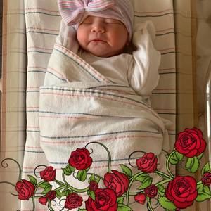 Meet your Posher, Jan